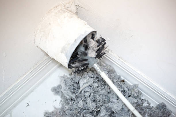 Best Affordable Duct Cleaning Services  in Ambler, PA